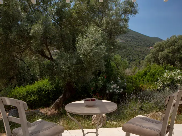 Olive garden at Villa Mavrades